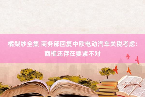 橘梨纱全集 商务部回复中欧电动汽车关税考虑：商榷还存在要紧不对